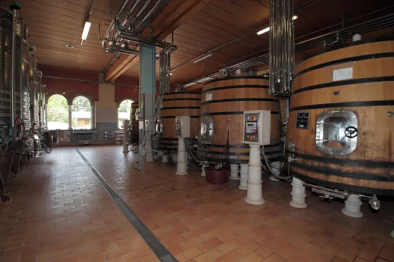 Tenuta Borgo La Caccia
